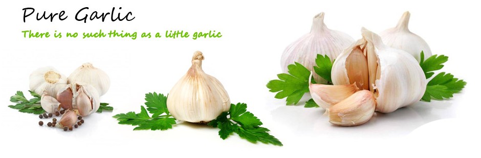 Garlic exporter in M.P.