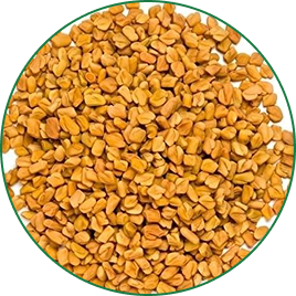 Methi