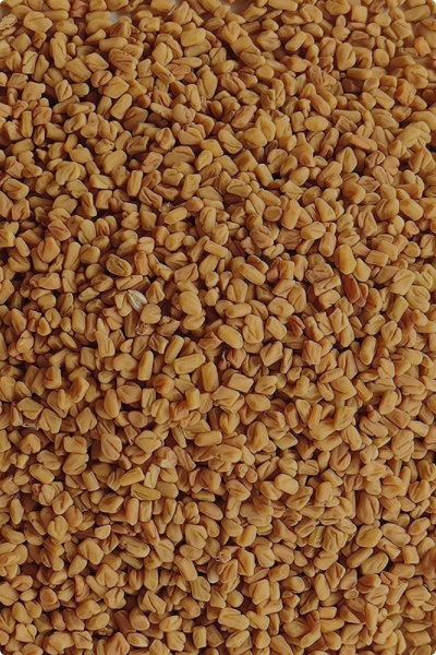 Methi