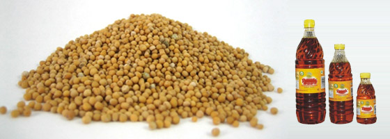 mustard