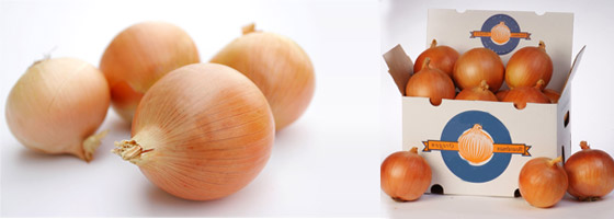 onion