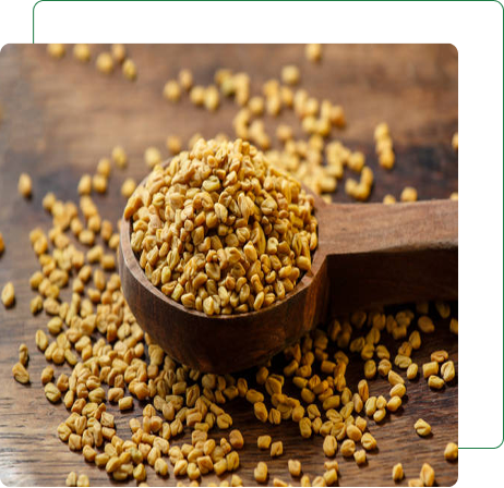 Methi